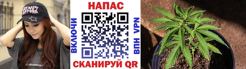 Купить закладку Кодеин  Меф мяу мяу  ГАШИШ  Каннабис  Cocaine  Йошкар-Ола