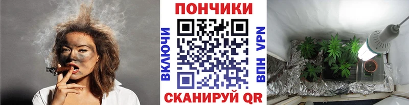 Конопля Amnesia  Купить закладки  Йошкар-Ола 